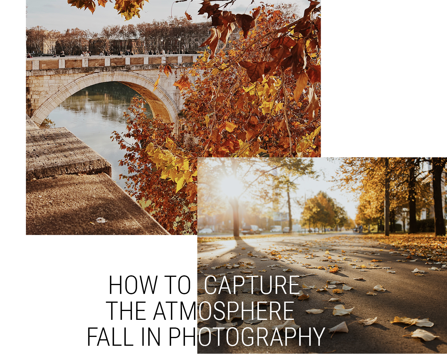 How-to-Capture-the-Atmosphere-of-Fall-in-Photography-header3.jpg